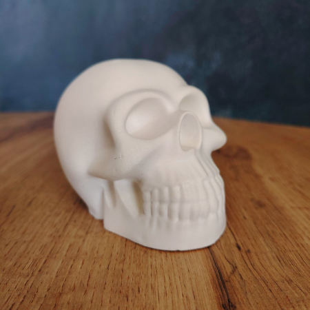 Corpul omenesc - Figurina din ipsos Craniu 3D, 10x8x7cm