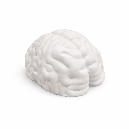 Figurina din ipsos Creier 3D