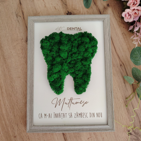 Tablou din mdf cu licheni, model dinte, personalizabil, 16.5x21.5cm [1]