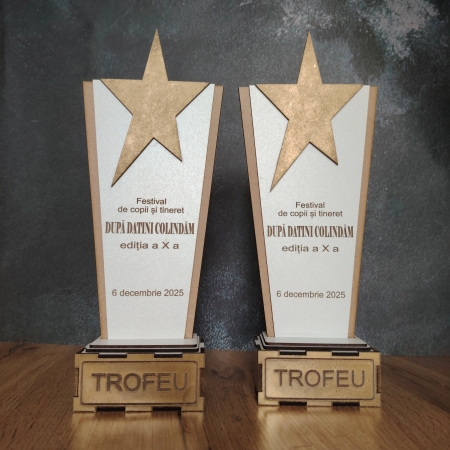Trofeu din MDF, personalizabil, 30x12cm [5]