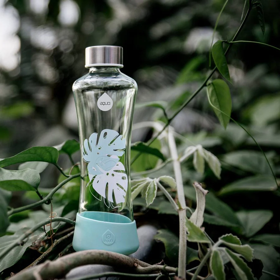 Glass Monstera [7]