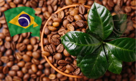 Cafea Single Origin - cremossa