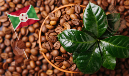 Cafea Single Origin - cremossa