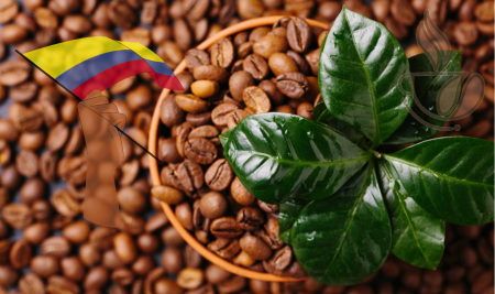 Cafea Single Origin - cremossa