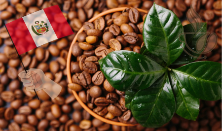 Cafea Single Origin - cremossa