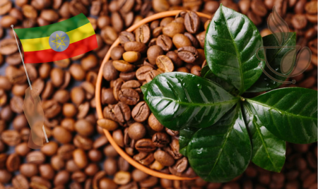 Cafea Single Origin - cremossa