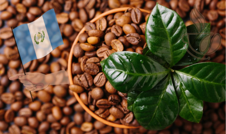 Cafea Single Origin - cremossa