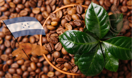 Cafea Single Origin - cremossa