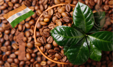 Cafea Single Origin - cremossa