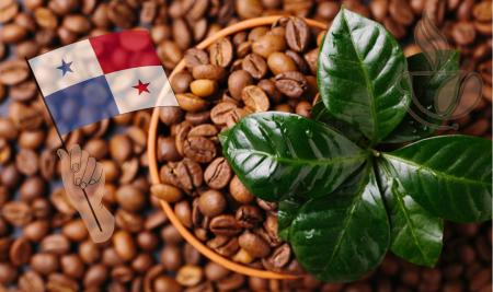 Cafea Single Origin - cremossa