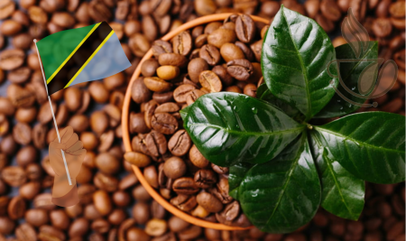 Cafea Single Origin - cremossa