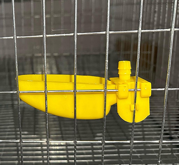 Adăpătoare automată cu cupă galbenă (în formă de banană) [7]