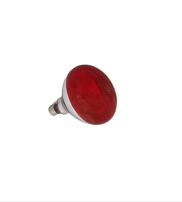 Bec infraroşu 100W cu bulb foarte mare, pentru pui [2]