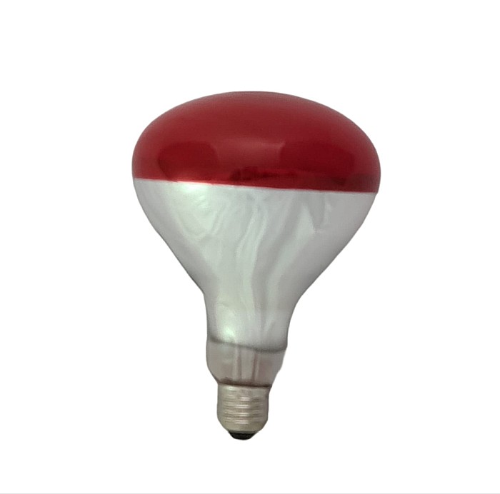 Bec infraroşu 100W cu bulb foarte mare, pentru pui [4]