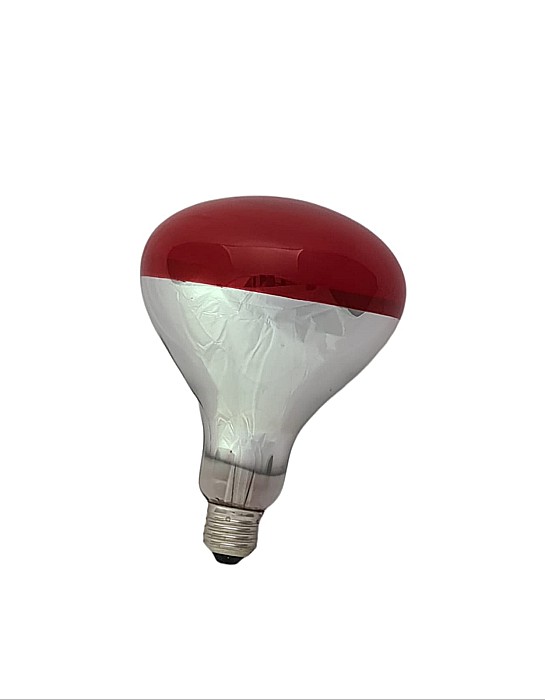 Bec infraroşu 150W cu bulb foarte mare, pentru pui, purcei, iezi, miei [3]