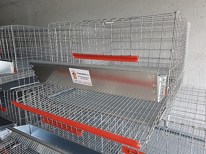 CPO-25 Cuşcă premium pentru 25 de prepeliţe ouătoare [3]