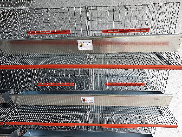 CPO-50 Cuşcă premium pentru 50 de prepeliţe ouătoare [3]
