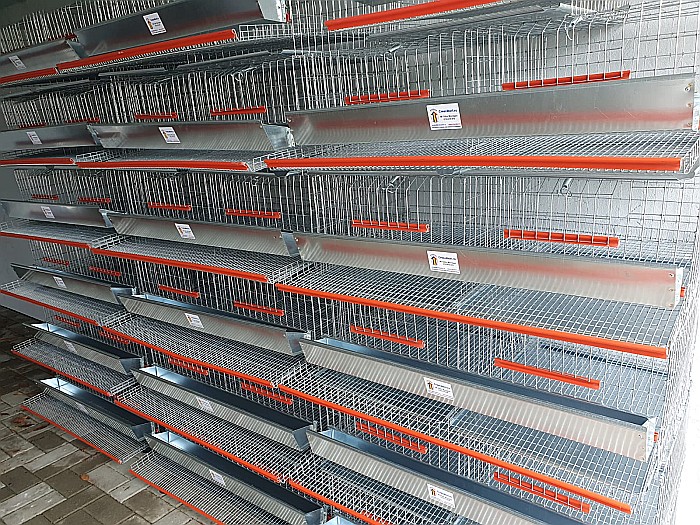 CPO-50 Cuşcă premium pentru 50 de prepeliţe ouătoare [4]