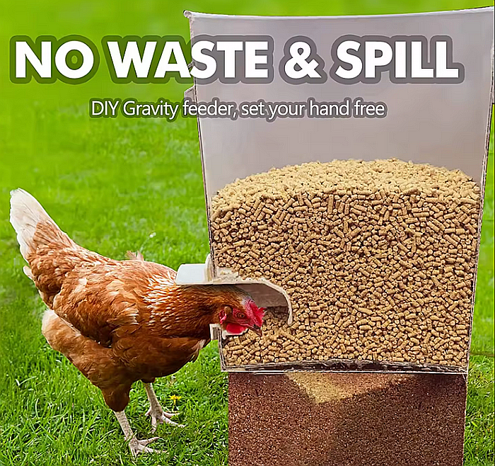 Hrănitoare albă de tip acces-în-butoi (cu montaj pe direct butoi), pentru păsări [7]