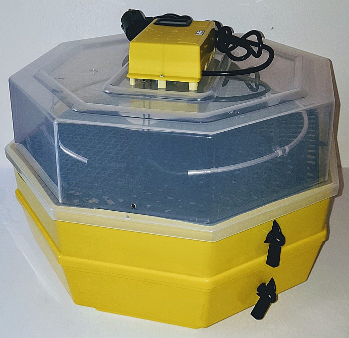 Incubator Cleo 5ETG - cu termostat reglabil, etaj, termometru digital şi întoarcere semi-automată ouă de găină + CADOU Ghid de incubare premium + asistent incubare [5]