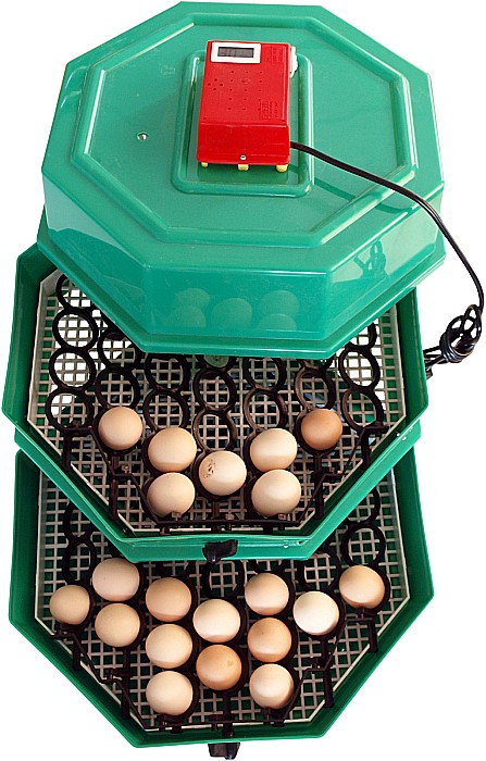 Incubator Cleo 5ETGPH - cu etaj, termometru, higrometru şi întoarcere semi-automată ouă de găină & prepeliţă + CADOU Ghid de incubare premium + asistent incubare [5]