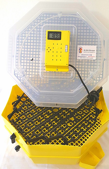Incubator Cleo 5ETPC - cu termostat reglabil, etaj, termometru digital, întoarcere semi-automată ouă de prepeliţă şi cupă exterioară pt. apă + CADOU Ghid de incubare premium + asistent incubare [5]