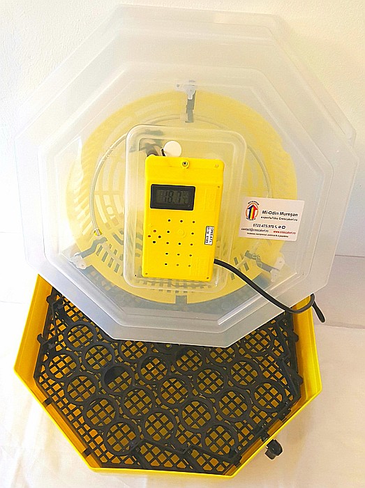 Incubator Cleo 5TGH - cu termohigrometru digital şi întoarcere semi-automată ouă de găină + CADOU Ghid de incubare premium + asistent incubare [11]