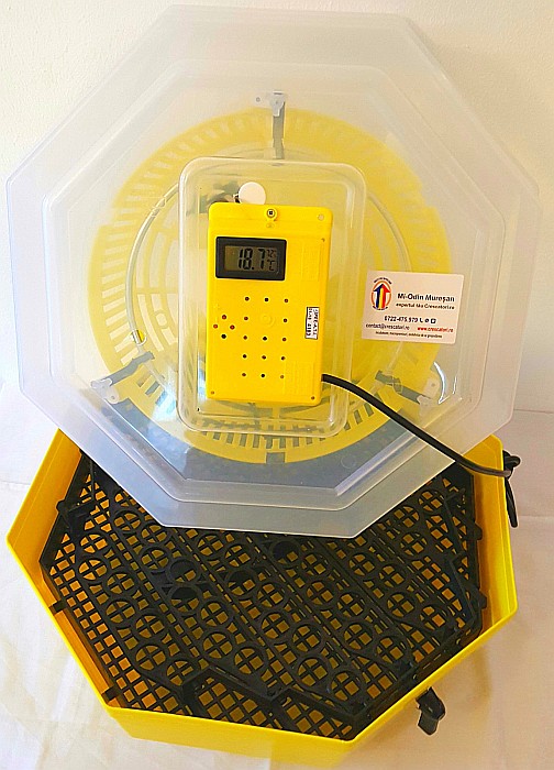 Incubator Cleo 5TPH - cu termohigrometru digital şi întoarcere semi-automată ouă de prepeliţă + CADOU Ghid de incubare premium + asistent incubare [10]