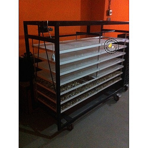 Incubator profesional (industrial) automatizat IP-6D (9.000 lei) (ouă: 2.112 găină, 5.304 prepeliţă, 1.512 raţă/curcă, 768 gâscă) Transportul nu este inclus! [3]
