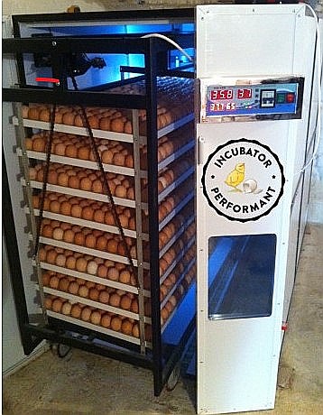 Incubator profesional (industrial)  automatizat IP-7D (9.800 lei) (ouă: 2.464 găină, 6.188 prepeliţă, 1.764 raţă/curcă, 896 gâscă) Transportul nu este inclus! [2]