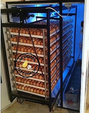 Incubator profesional (industrial)  automatizat IP-7D (9.800 lei) (ouă: 2.464 găină, 6.188 prepeliţă, 1.764 raţă/curcă, 896 gâscă) Transportul nu este inclus! [3]