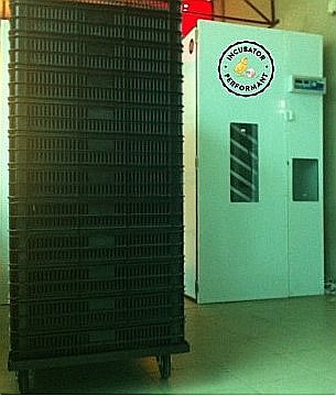Incubator profesional (industrial)  automatizat IP-8D (11.000 lei) (ouă: 2.816 găină, 7.072 prepeliţă, 2.016 raţă/curcă, 1.024 gâscă) Transportul nu este inclus! [2]