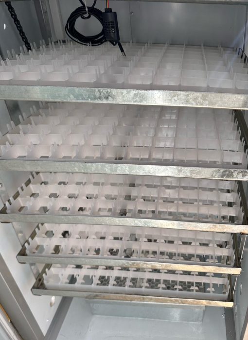 Incubator automat semi-profesional IE-440 capacitate mare controller digital intoarcere oua pe lant [6]
