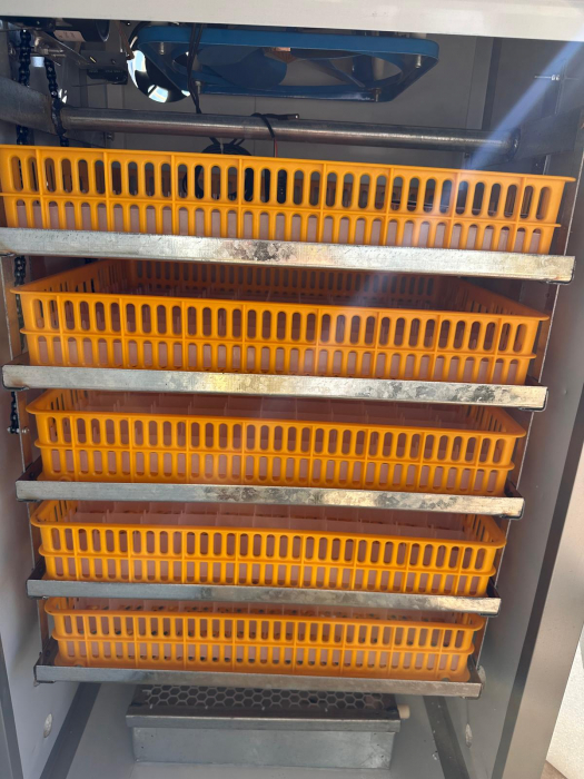Incubator automat semi-profesional IE-440 capacitate mare controller digital intoarcere oua pe lant [3]