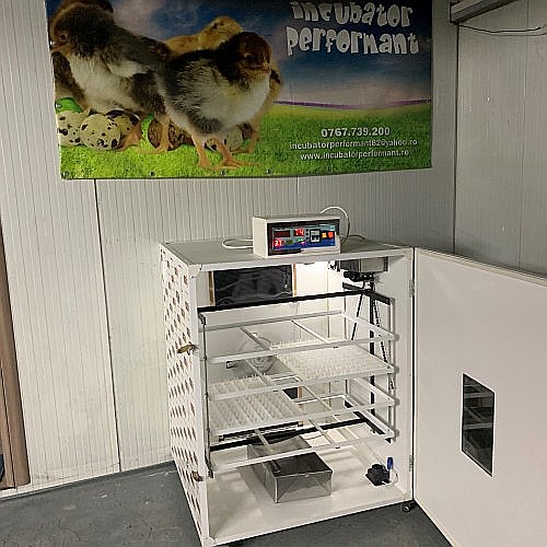 Incubator semiprofesional automatizat IP-4 (4.500 lei) (ouă: 704 găină, 1.768 prepeliţă, 504 raţă/curcă, 256 gâscă) Transportul nu este inclus! [5]