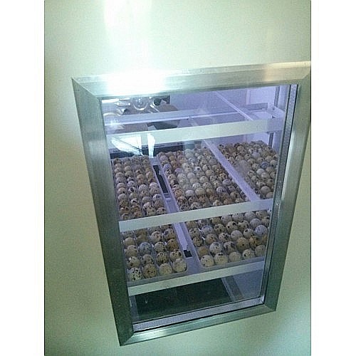 Incubator semiprofesional automatizat IP-5 (5.000 lei) (ouă: 880 găină, 2.210 prepeliţă, 630 raţă/curcă, 320 gâscă) Transportul nu este inclus! [5]