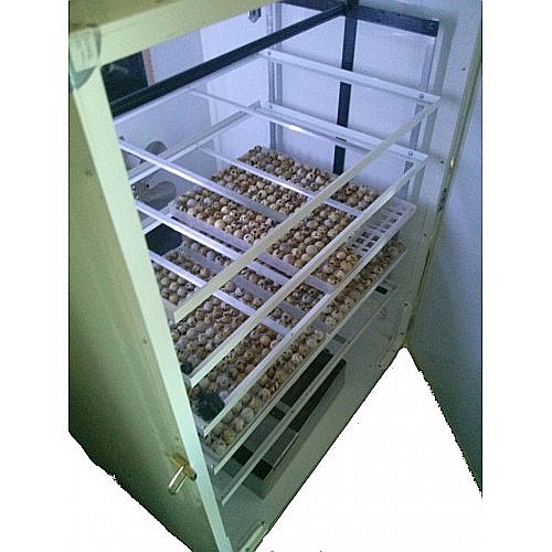 Incubator semiprofesional automatizat IP-5 (5.000 lei) (ouă: 880 găină, 2.210 prepeliţă, 630 raţă/curcă, 320 gâscă) Transportul nu este inclus! [3]