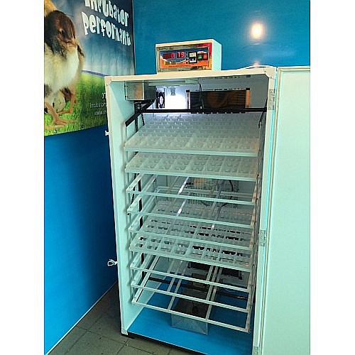 Incubator semiprofesional automatizat IP-6 (5.400 lei) (ouă: 1.056 găină, 2.652 prepeliţă, 756 raţă/curcă, 384 gâscă) Transportul nu este inclus! [2]