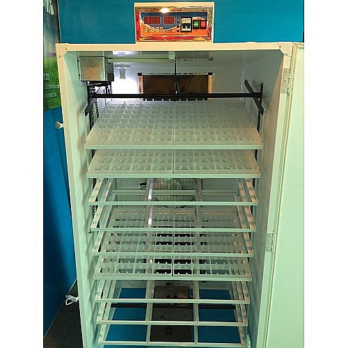 Incubator semiprofesional automatizat IP-6 (5.400 lei) (ouă: 1.056 găină, 2.652 prepeliţă, 756 raţă/curcă, 384 gâscă) Transportul nu este inclus! [3]
