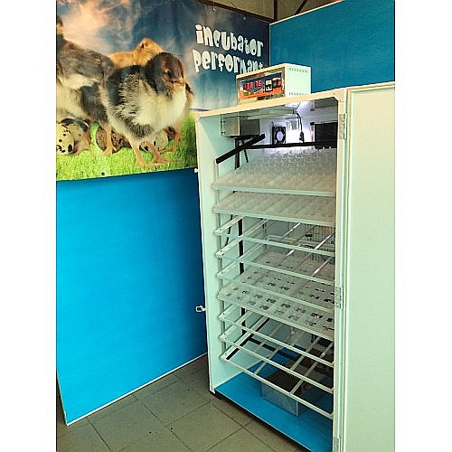 Incubator semiprofesional automatizat IP-8 (6.600 lei) (ouă: 1.408 găină, 3.536 prepeliţă, 1.008 raţă/curcă, 512 gâscă) Transportul nu este inclus! [4]
