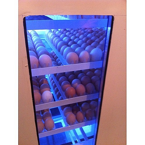 Incubator semiprofesional automatizat IP-9 (7.000 lei) (ouă: 1.584 găină, 3.978 prepeliţă, 1.134 raţă/curcă, 576 gâscă) Transportul nu este inclus! [3]