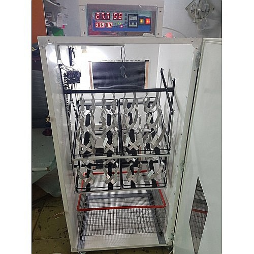 Incubator semiprofesional automatizat pentru ouă de struţ, model IP-S-24 (5.500lei) Transportul nu este inclus! [5]