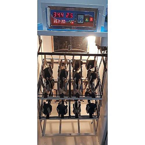Incubator semiprofesional automatizat pentru ouă de struţ, model IP-S-24 (5.500lei) Transportul nu este inclus! [4]