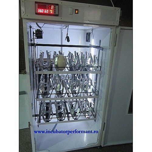 Incubator semiprofesional automatizat  pentru ouă de struţ, model IP-S-45 (7.500lei) Transportul nu este inclus! [3]