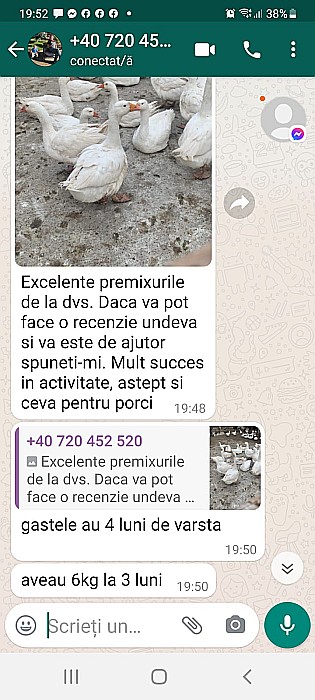 Pmx-C2 Macropremix pentru curcani, palmipede şi păuni [3]