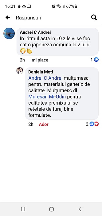 Pmx-G Macropremix pentru găini de curte [5]