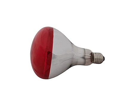 Accesorii şi componente pentru cuşti - Bec infraroşu 100W cu bulb foarte mare, pentru pui