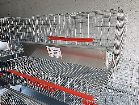 CPO-25 Cuşcă premium pentru 25 de prepeliţe ouătoare [2]