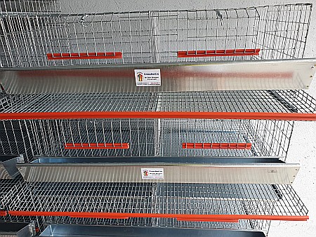 CPO-50 Cuşcă premium pentru 50 de prepeliţe ouătoare [2]