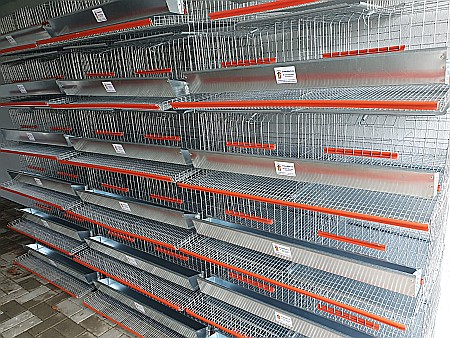 CPO-50 Cuşcă premium pentru 50 de prepeliţe ouătoare [3]